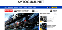 avtogumi.net